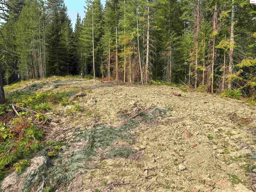 NNA Peninsula Loop, Priest River, ID 83856 - Image #3