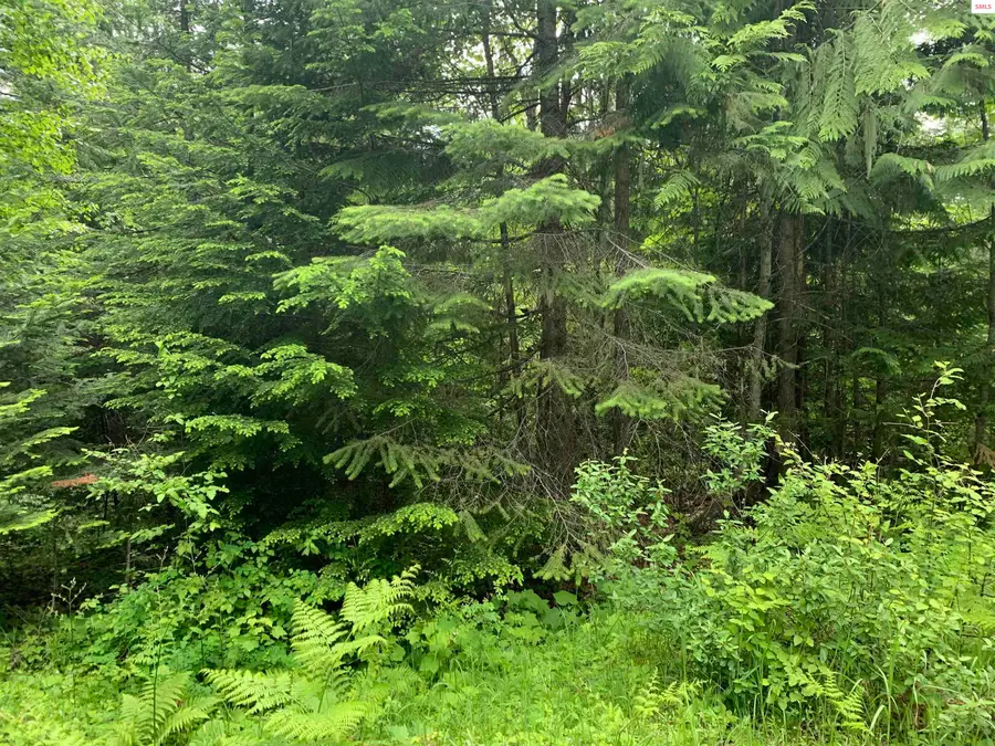 NNA W Gold Creek Ridge Road, Sandpoint, ID 83865 - Image #3