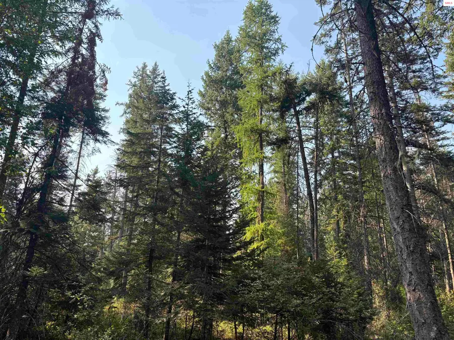 NNA E Lewellen Creek (north 10), Athol, ID 83801 - Image #2