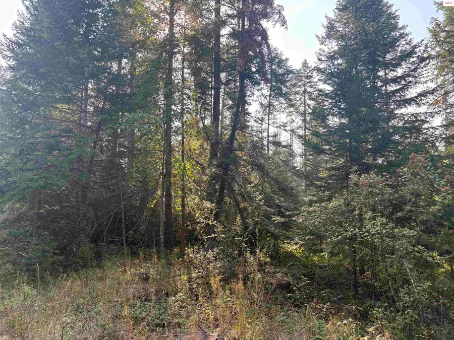 NNA E Lewellen Creek (north 10), Athol, ID 83801 - Image #3