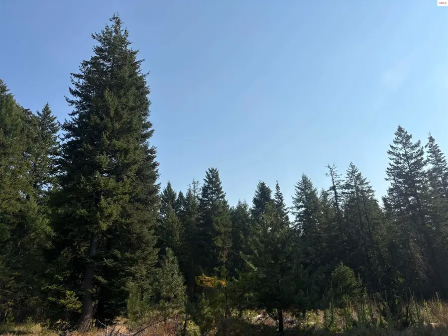 NNA E Lewellen Creek (south 10), Athol, ID 83801 - Image #2