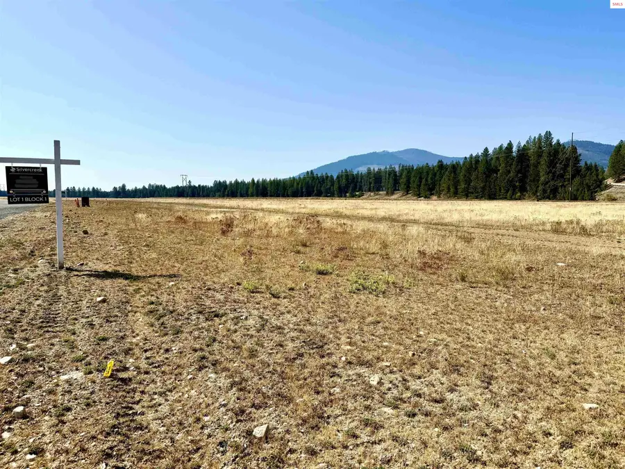 NKA N Stonemason Way, Rathdrum, ID 83858 - Image #2