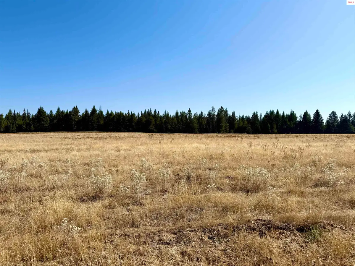 NKA N Stonemason Way Lot 2 Block 2), Rathdrum, ID 83858 - #1