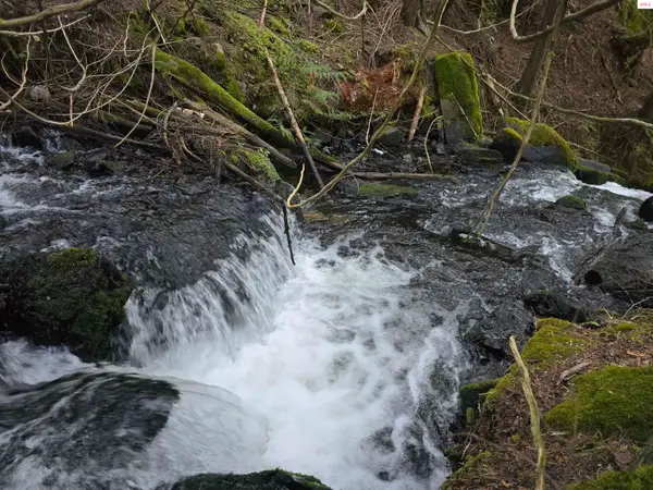 78592 Hwy 2, Moyie Springs, ID 83845