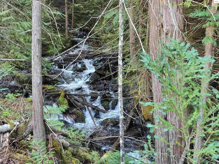 78592 Hwy 2, Moyie Springs, ID 83845 - Image #3