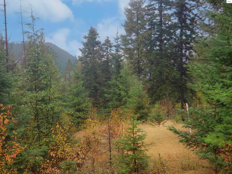 NKA Nka White Cloud Dr, Sandpoint, ID 83864 - Image #3