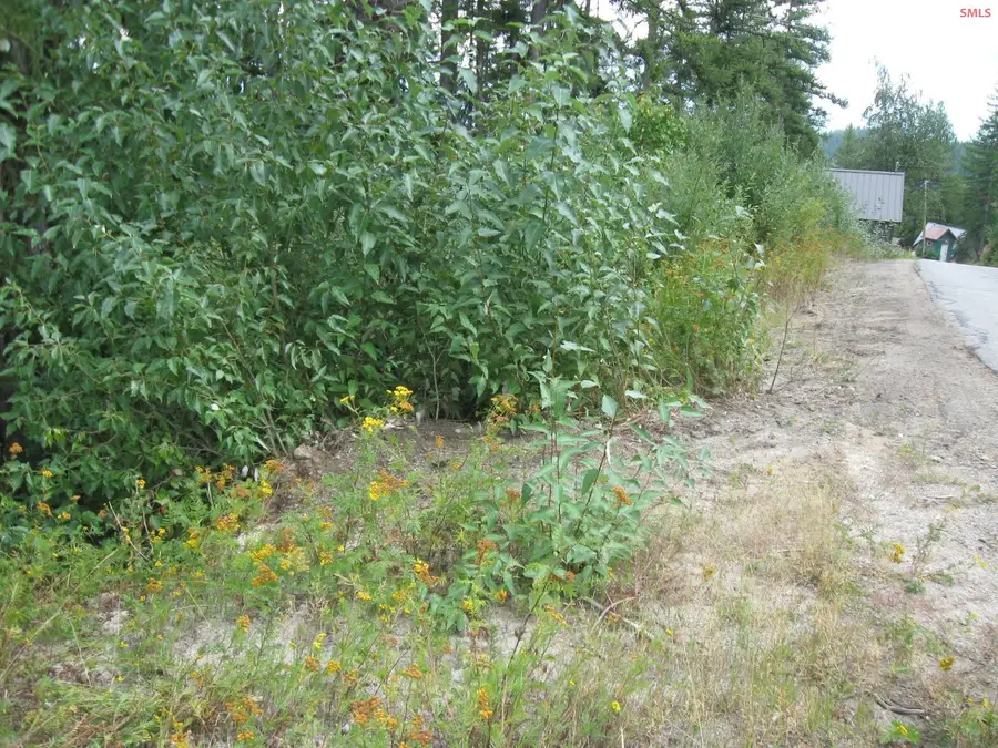 NKA Parallel Run Lot 10, Sandpoint, ID 83864 - Image #2
