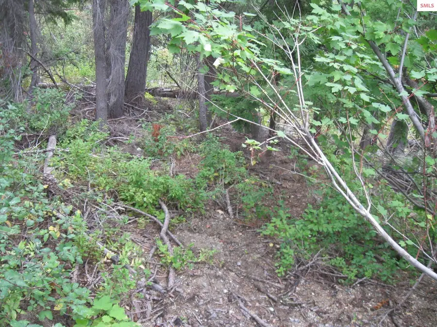 NKA Parallel Run Lot 10, Sandpoint, ID 83864 - Image #3