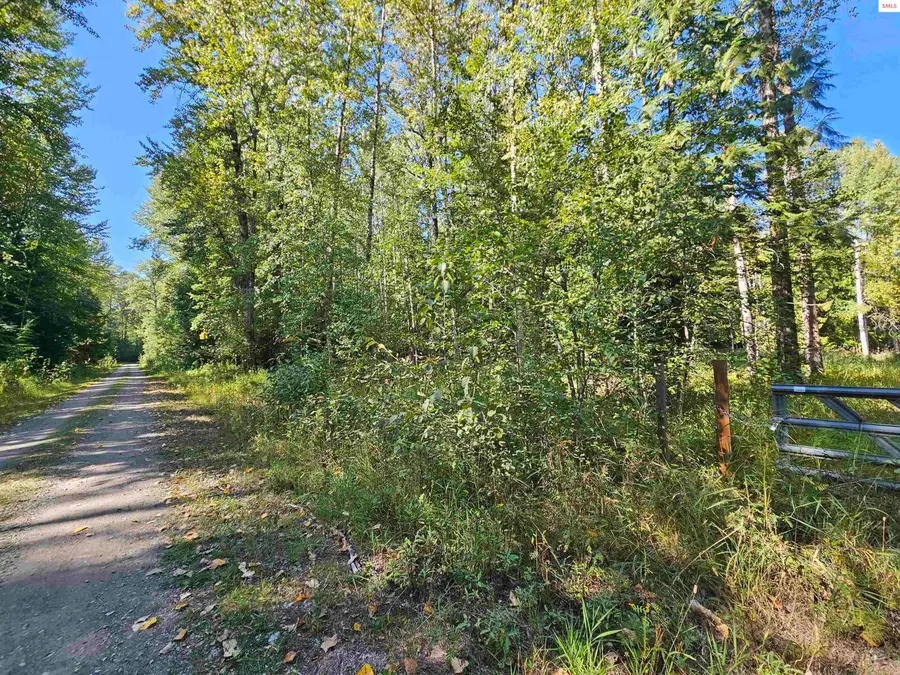 20Acres Beaver Creek Rd, Sandpoint, ID 83864 - Image #2