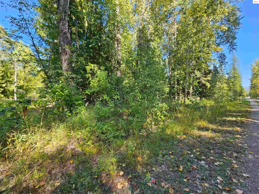 20Acres Beaver Creek Rd, Sandpoint, ID 83864 - Image #3