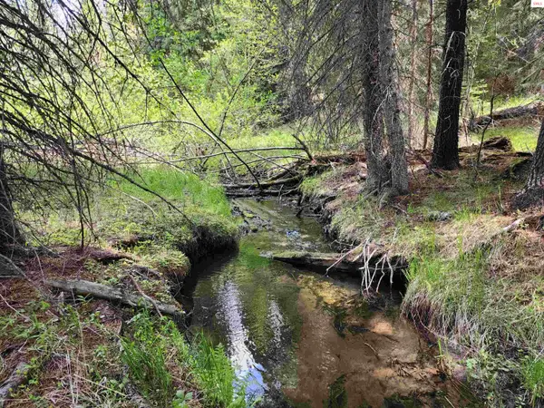 141 Berts Way, Troy, MT 59935