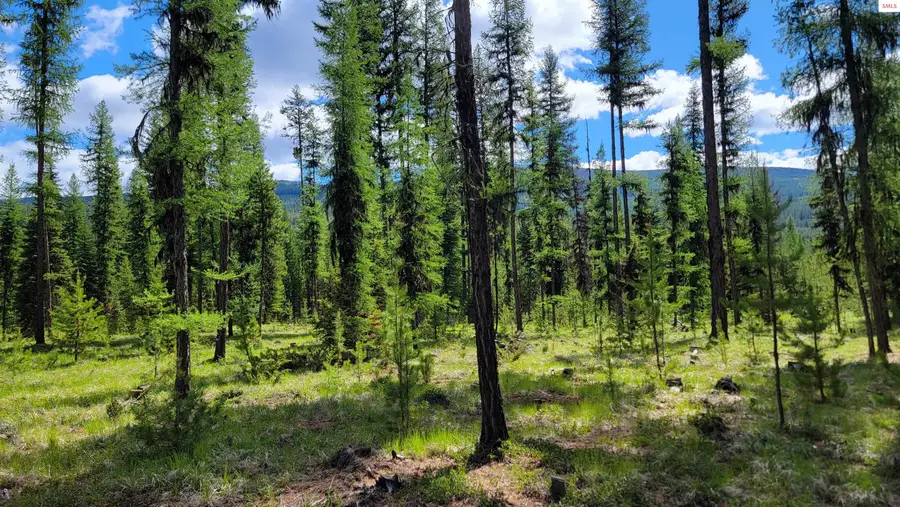 141 Berts Way, Troy, MT 59935 - Image #2