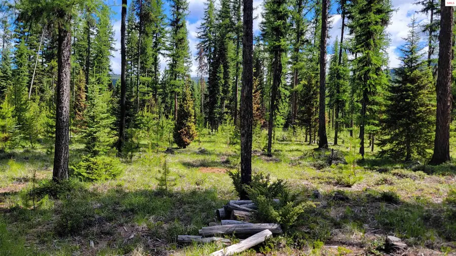 141 Berts Way, Troy, MT 59935 - Image #3