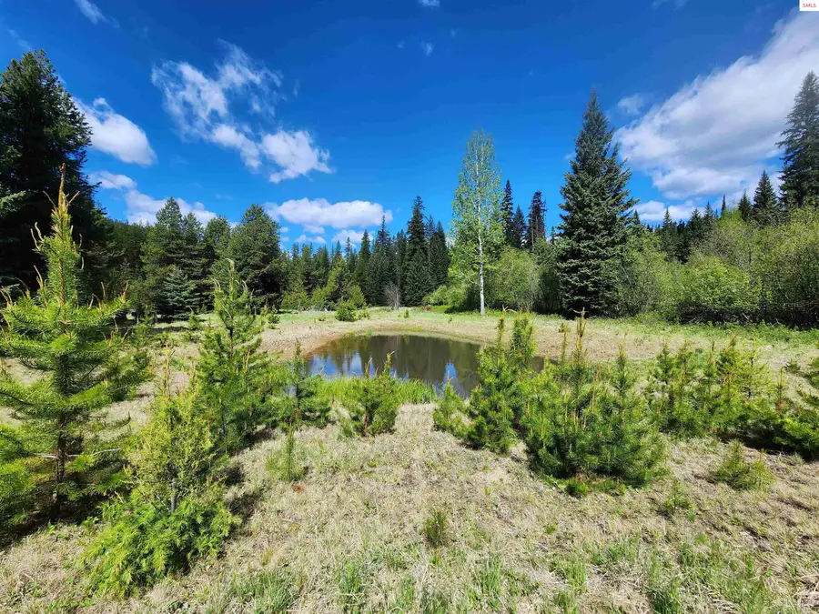 574 Poco Lobo Road, Troy, MT 59935 - Image #3