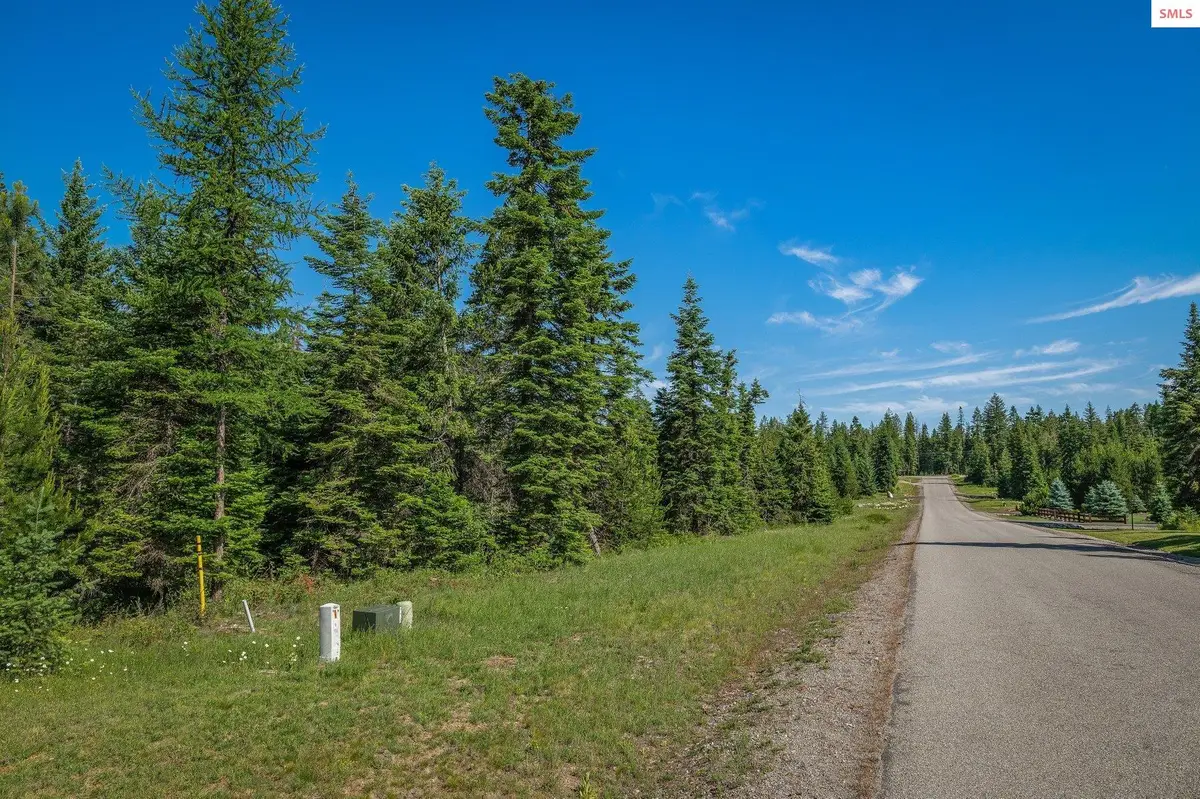 Lot 10 E Riley Loop, Athol, ID 83801 - Image #1