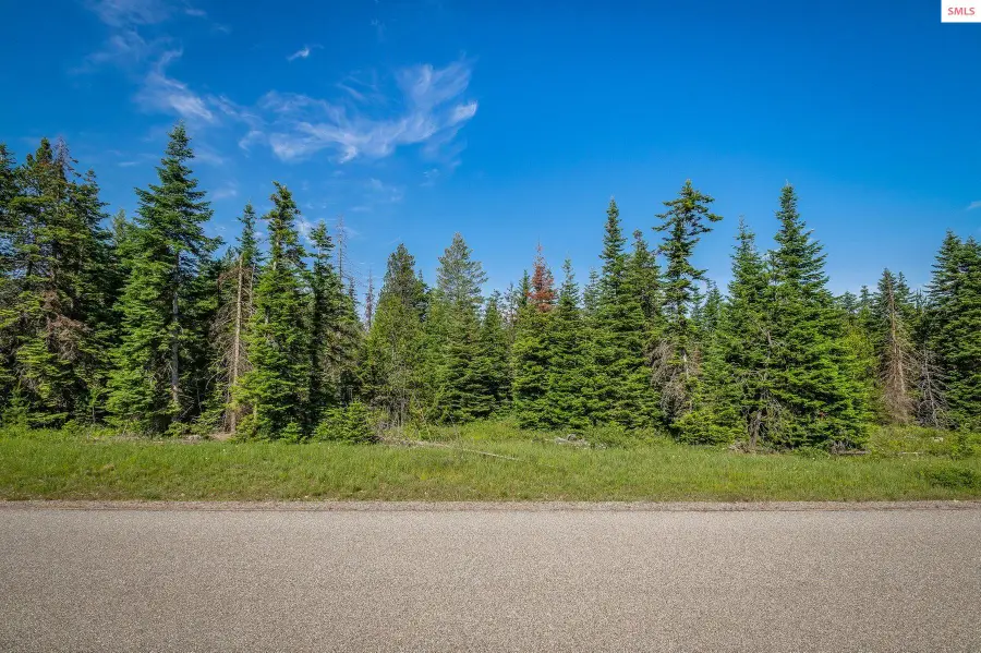 Lot 10 E Riley Loop, Athol, ID 83801 - Image #3