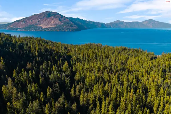 NNA Big Buck Rd, Bayview, ID 83803