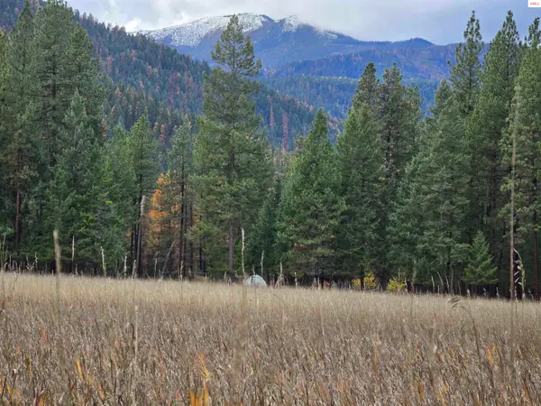 TBD Quartz Rd, Libby, MT 59923