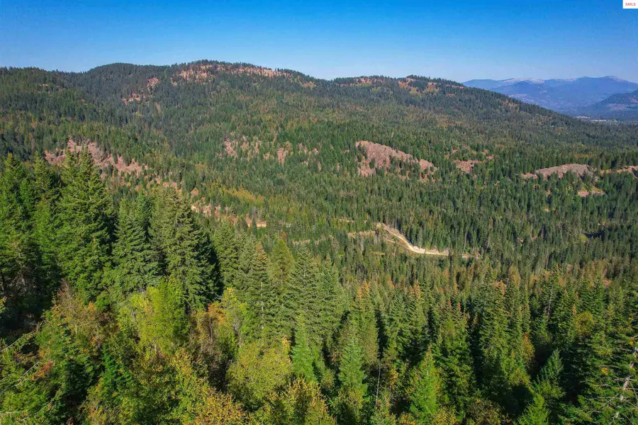 NKA Bodie Canyon Rd., Priest River, ID 83856 - Image #3