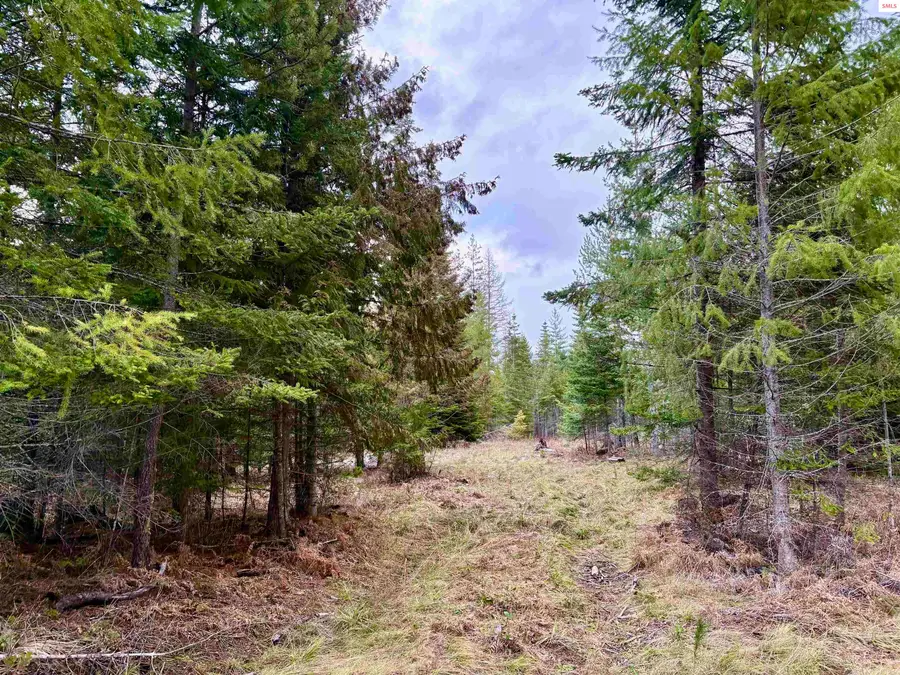 Lots 1,2,3 Lost Mile Road, Bonners Ferry, ID 83805 - Image #2