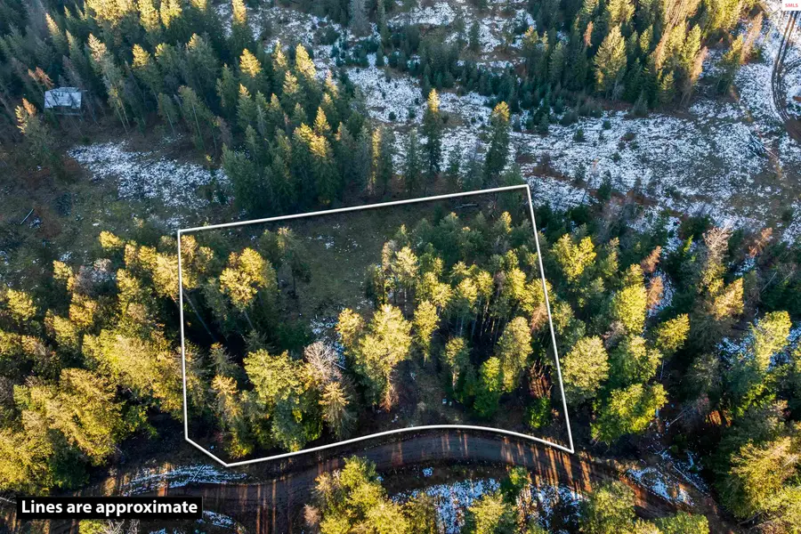 B1, L3 Sasha Point, Hope, ID 83836 - Image #2