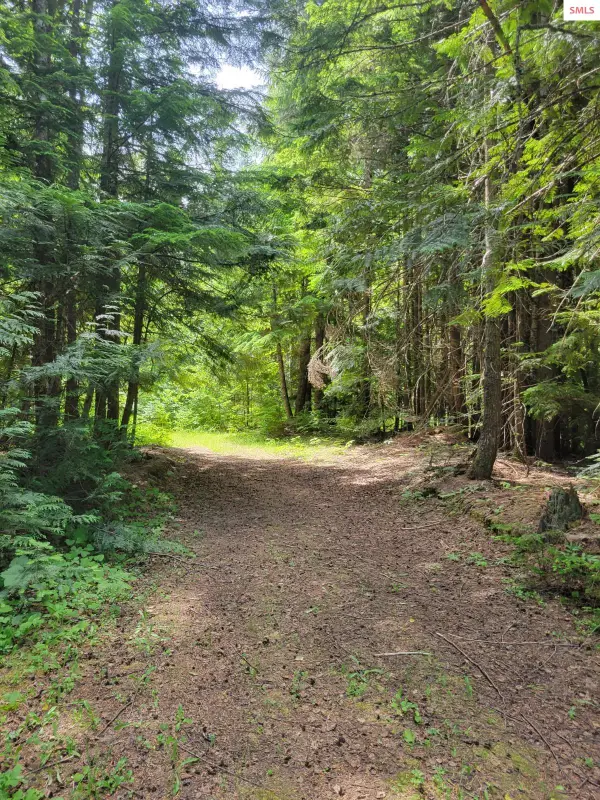 NNA 17 Christmas Lane, Naples, ID 83847