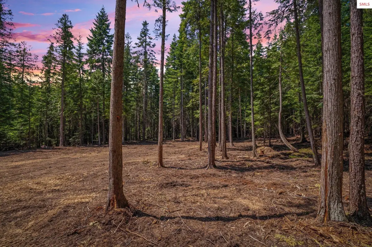 NKA Wandering Wolf Ridge Lot 3, Clark Fork, ID 83811 - Image #1