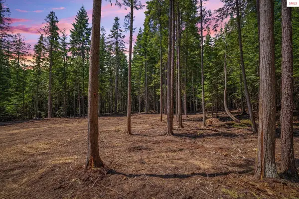 NKA Wandering Wolf Ridge Lot 3, Clark Fork, ID 83811