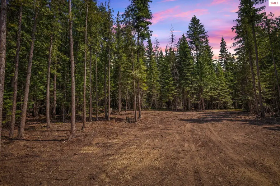 NKA Wandering Wolf Ridge Lot 3, Clark Fork, ID 83811 - Image #2