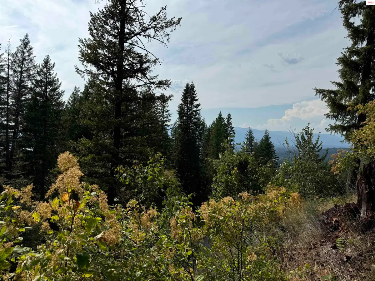 Lot E7 Green Monarch Lane, Sandpoint, ID 83864 - #1