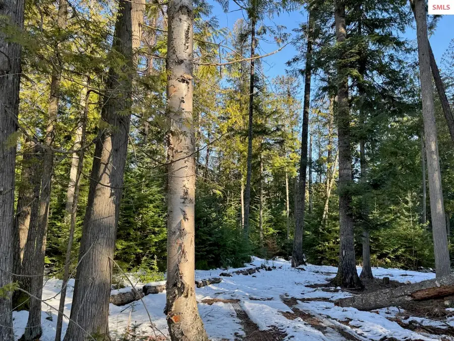 9775 Bottle Bay Rd, Sagle, ID 83860 - Image #3