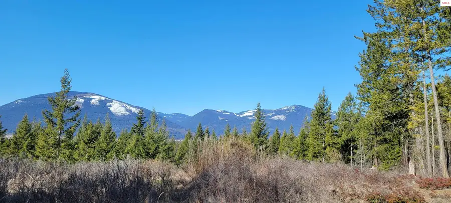 NNA Bootlegger Lane - Stein Mtn, Bonners Ferry, ID 83805 - #2