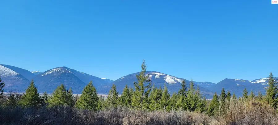 NNA Bootlegger Lane - Stein Mtn, Bonners Ferry, ID 83805 - #3