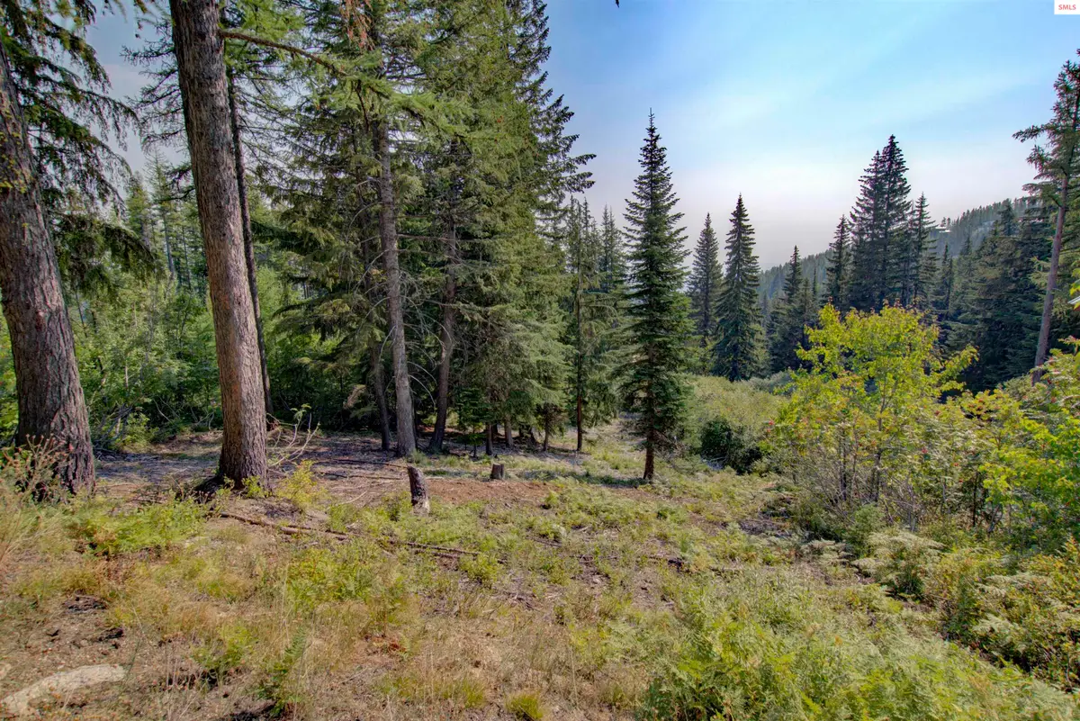 Blk4 Lot4 Ullr Dr, Sandpoint, ID 83864 - #1