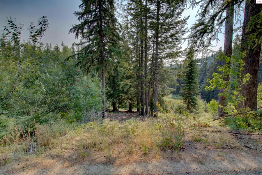 Blk4 Lot4 Ullr Dr, Sandpoint, ID 83864 - #2