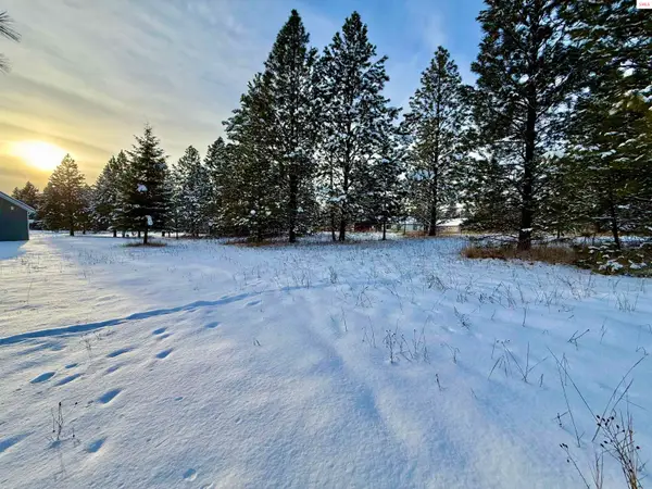NKA Pomelo Place (lot 2), Moyie Springs, ID 83845