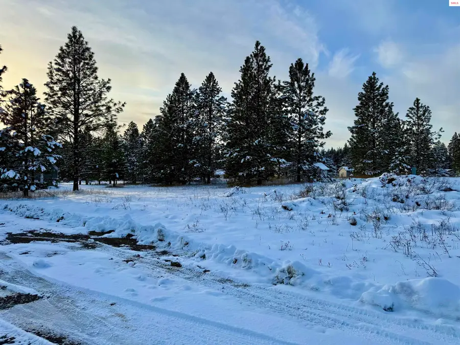 NKA Pomelo Place (lot 2), Moyie Springs, ID 83845 - #2