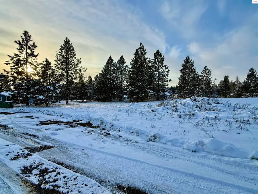 NKA Pomelo Place (lot 2), Moyie Springs, ID 83845 - #3