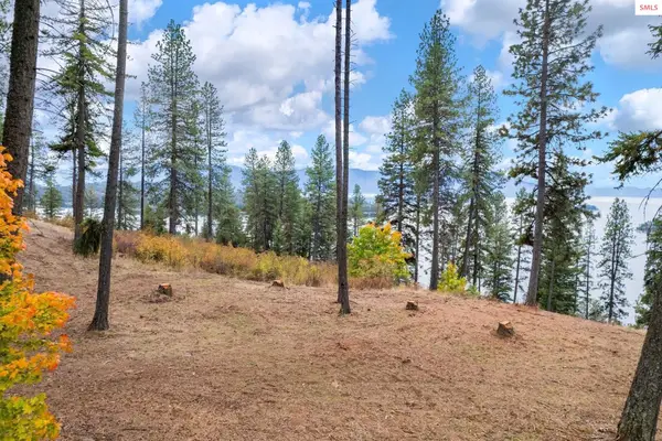NNA Green Monarch Lane, Hope, ID 83836