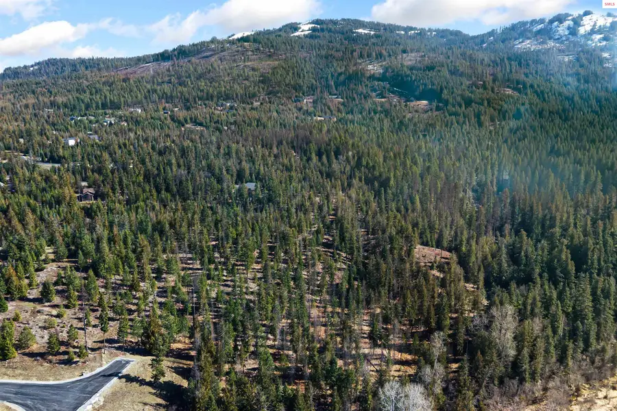 NNA Clark Trail, Sagle, ID 83860 - #3