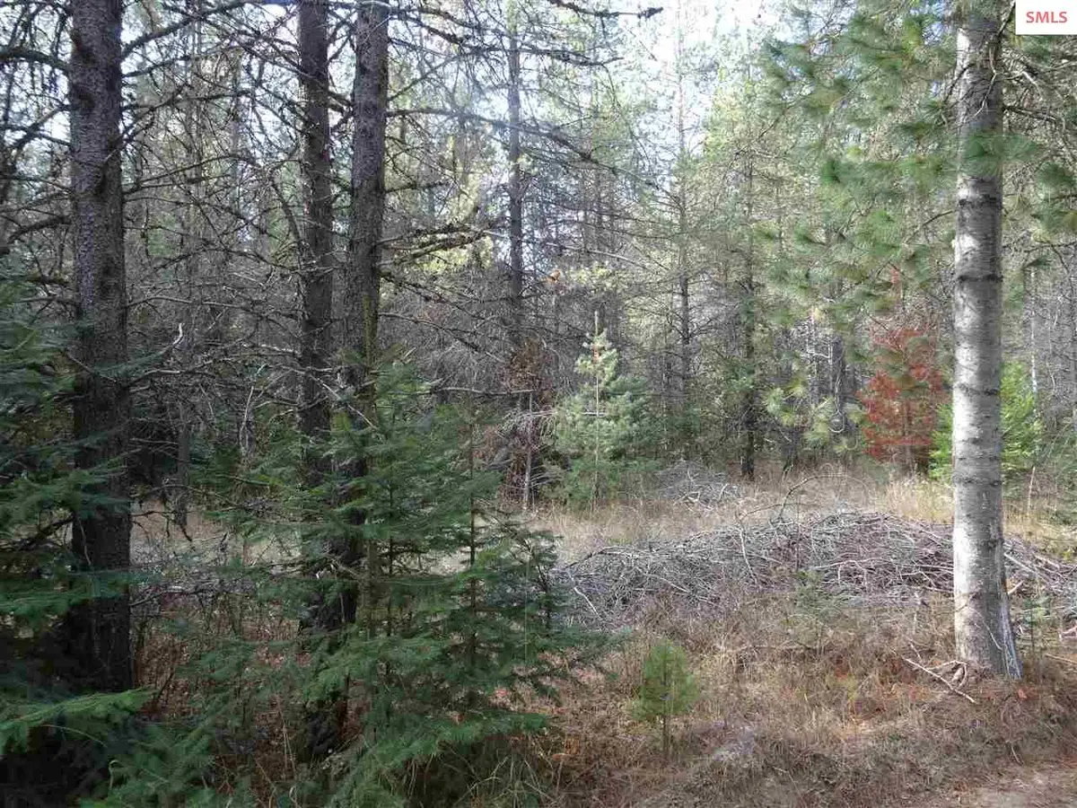 NNA Jasper Meadows (4950) 5.73ac, Priest River, ID 83856 - #1
