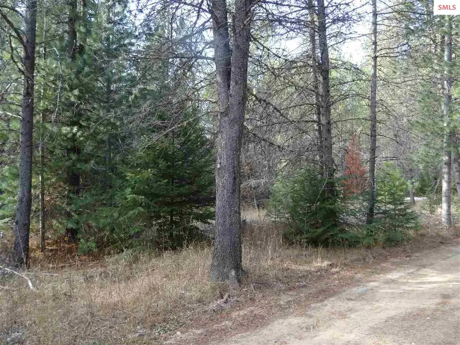 NNA Jasper Meadows (4950) 5.73ac, Priest River, ID 83856 - #3