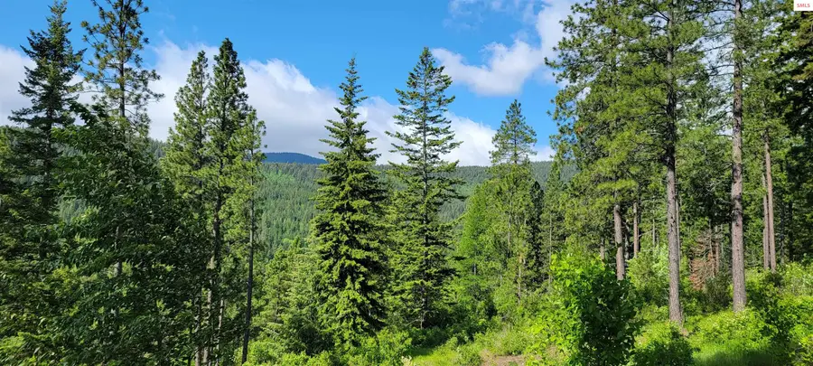 NNA Snowcat Lane Tract 4, Bonners Ferry, ID 83805 - #3