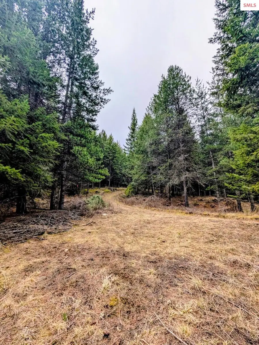 NNA 19.05 acres Kootenai Trail Road, Bonners Ferry, ID 83805 - #2