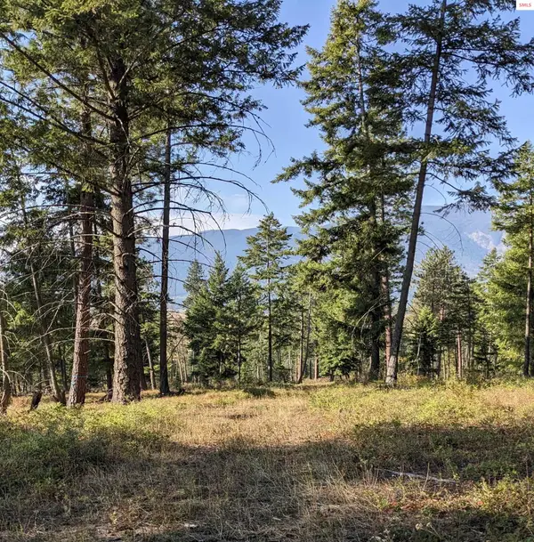 NKA 10 ac New Chisholm Way (3400a), Bonners Ferry, ID 83805