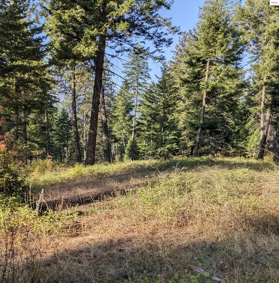 NKA 10 ac New Chisholm Way (3400a), Bonners Ferry, ID 83805 - #2
