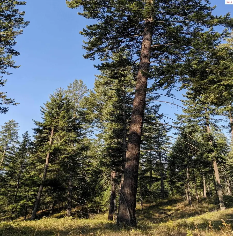 NKA 10 ac New Chisholm Way (3400a), Bonners Ferry, ID 83805 - #3