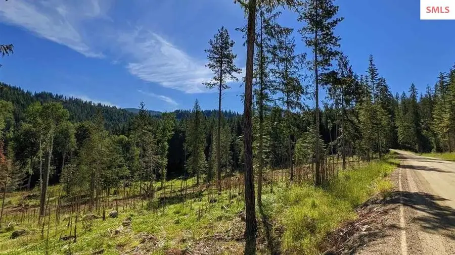 8360 Sunnyside, Sandpoint, ID 83864 - #2