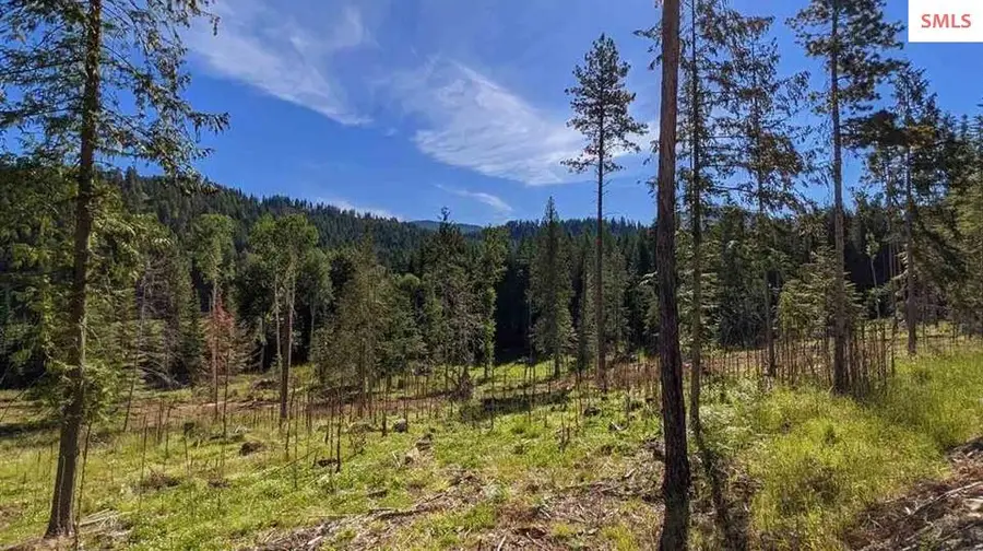 8360 Sunnyside, Sandpoint, ID 83864 - #3