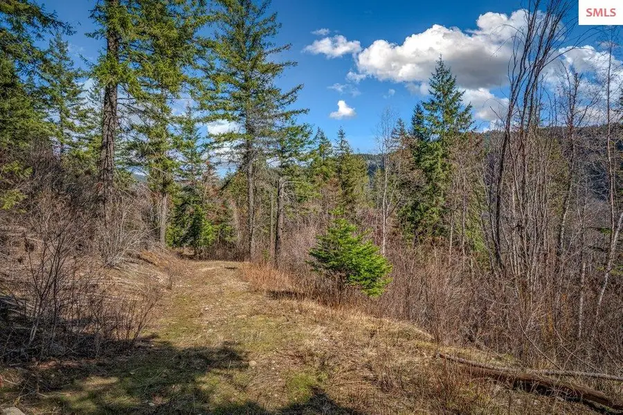 NNA G8 Forest Highland, Sandpoint, ID 83864 - #3